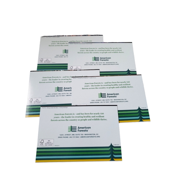 ☕ Nature Greeting Cards set of 5 - Picture 2 of 12